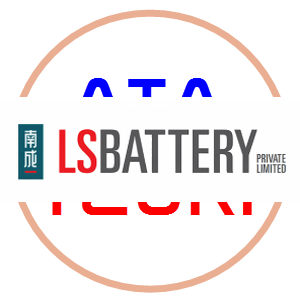 
												LSBattery
